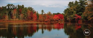 عکس پاییز و دریاچه رادیاتور طرح دار