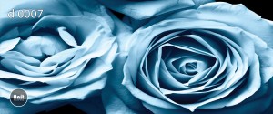 طرح شیشه رادیاتور گل رز آبی
